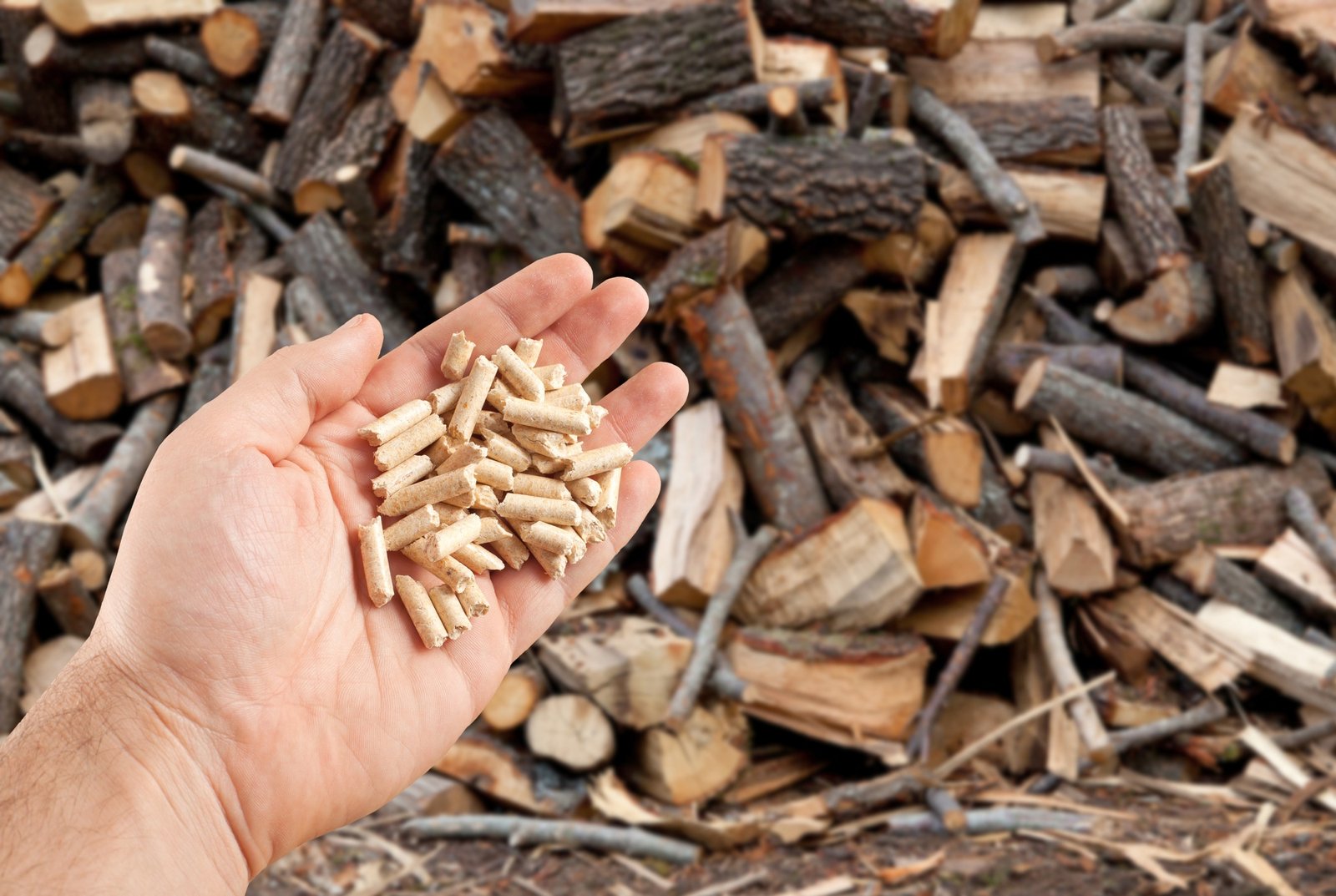 Wood pellets in hand
